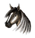 detail_reitstall.jpg