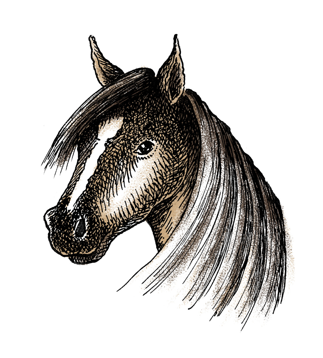 detail_reitstall.jpg