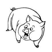 Schwein.jpg